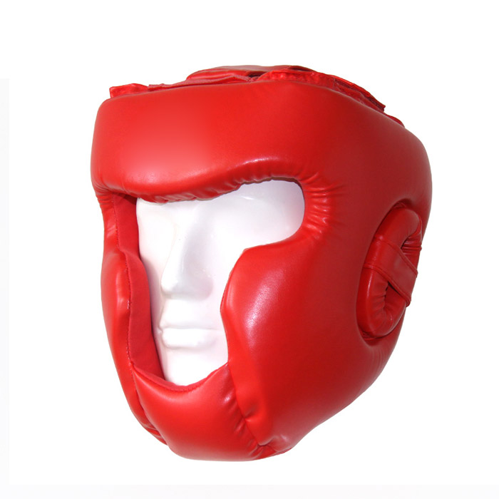 Head Guard
